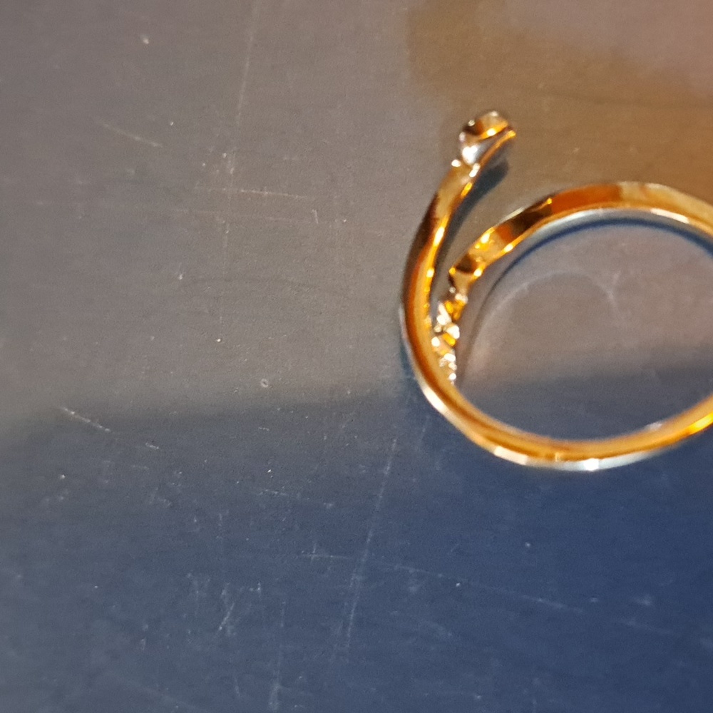 Wing ring size 3 slightly adjustable runner speed fly pilot flight attendant - Picture 6 of 6